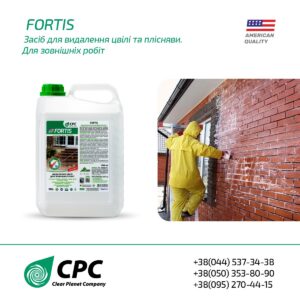 FORTIS, 5 L, mold remover. External works